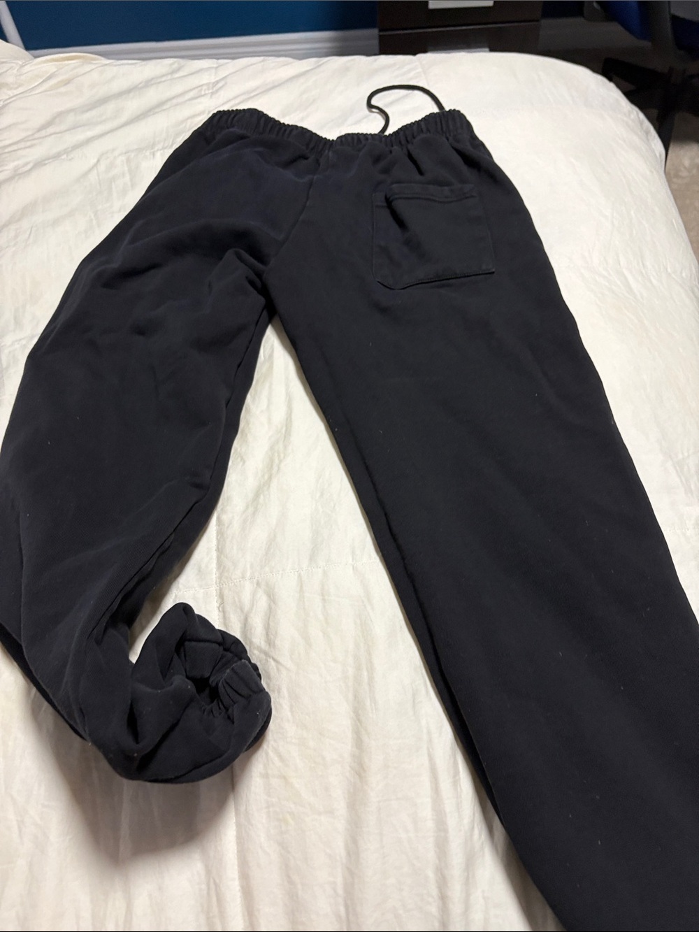 Black Spider Pants - Picture 7 of 8
